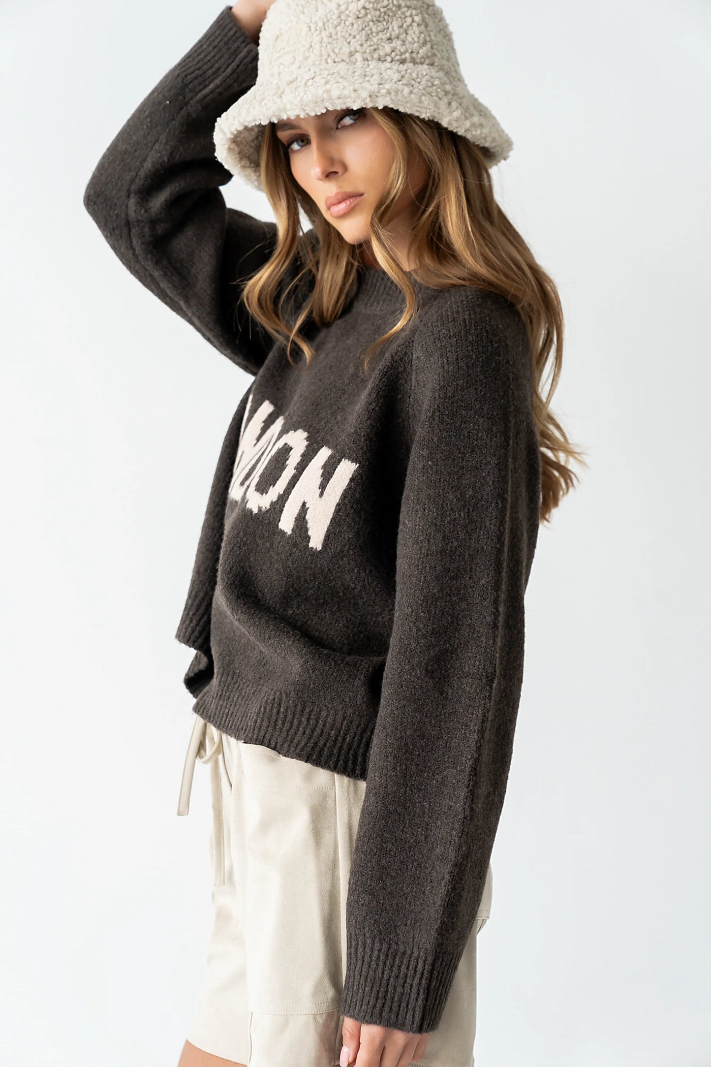 Suzie Graphic Sweater in Brown